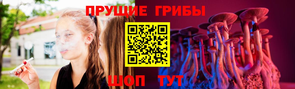 Псилоцибиновые грибы Psilocybine cubensis Ленинск-Кузнецкий